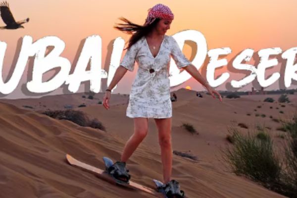 Camel silhouettes against sunset